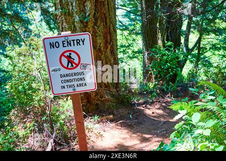 Panneau d'avertissement dans la forêt luxuriante interdisant l'entrée - perspective à hauteur des yeux Banque D'Images