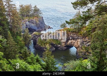 Vol aérien à travers Natural Rock Arch avec vue sur l'océan et Evergreen Forest Banque D'Images