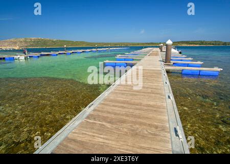 Bahia de Fornells.Menorca.Reserva de la Bioesfera.Illes Balears.España. Banque D'Images