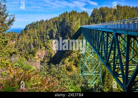 Thomas Creek Bridge au-dessus des gorges forestières perspective aérienne Banque D'Images