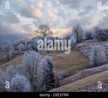 L'hiver approche.Scène pittoresque avant le lever du soleil au-dessus de la fin de l'automne campagne de montagne avec du givre sur les herbes, les arbres, les pentes.PE Banque D'Images