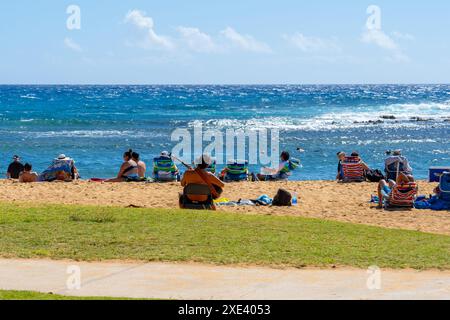 Un palmier avec un beau coq sauvage dans un parc à Kauai, Hawaii, USA. Banque D'Images