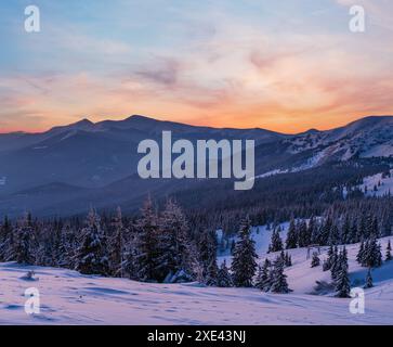 Pittoresque lever de soleil sur les alpes d'hiver. La plus haute crête des Carpates ukrainiens est Chornohora avec des sommets de Hoverla et Petros Mount Banque D'Images