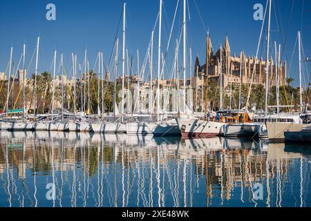 Catedral de Palma desde Moll de la Riba Banque D'Images