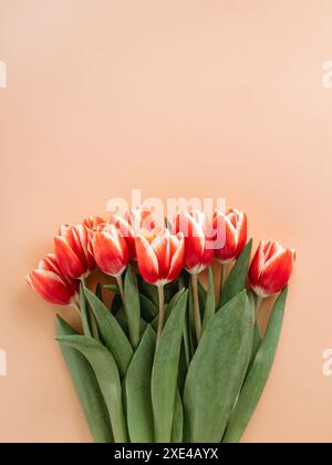 Bouquet de tulipe rouge sur fond beige Banque D'Images