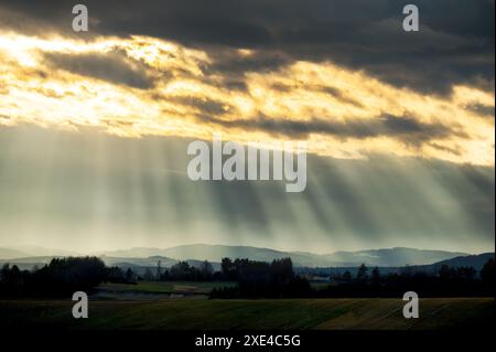 La lumière dorée du soleil à travers le lourd nuage avant l'arrivée de la tempête Banque D'Images