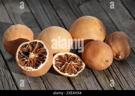 Agrumes, Citrusfruechte, getrocknet, séché Banque D'Images