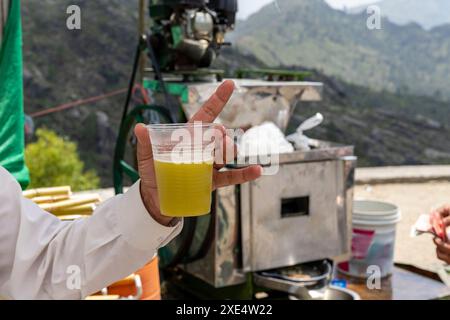 Jus de canne à sucre fraîchement pressé dans une tasse en plastique Banque D'Images