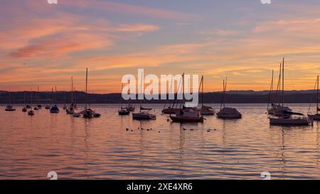 Bodensee Lake Sunrise Panorama. Lumière du soleil matinale sur les eaux tranquilles. Banque D'Images