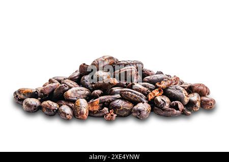 Pile de nibs de cacao grillés secs isolés sur fond blanc. Banque D'Images