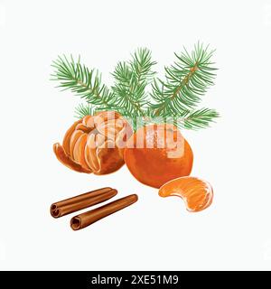 Mandarines, entières, en tranches, cannelle, branches d'épinette. Illustration vectorielle dessinée à la main. Pour les cartes de Noël et du nouvel an, invitations, étiquettes, couvertures, la Illustration de Vecteur