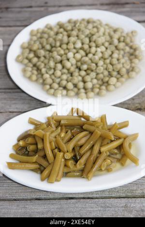 Phaseolus vulgaris, haricots verts en conserve Banque D'Images