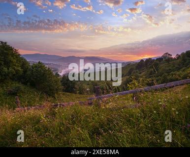 Pittoresque été Carpathian montagne campagne prairies. Avec de belles fleurs sauvages Banque D'Images