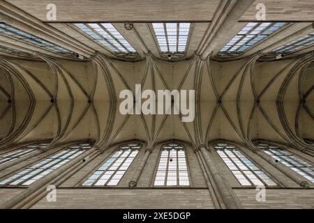 Cathédrale de Magdebourg, plafond, Magdebourg, Saxe Anhalt, Allemagne Banque D'Images