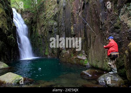 Pêcheurs à la ligne pêchant l'amago dans un ruisseau de montagne au début du printemps. Banque D'Images