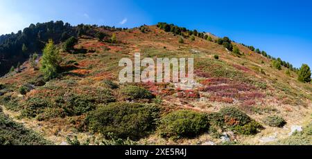 actif, alpes, vue sur les alpes, automne, couleurs d'automne, montagnes d'automne, fond, belle, protection du climat, campagne, couleurs d'automne, automne Banque D'Images