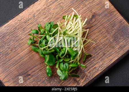 Pousses fraîches ou microgreens de tournesol sur planche à découper en bois Banque D'Images