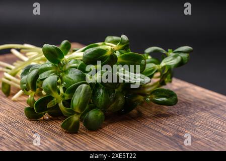 Pousses fraîches ou microgreens de tournesol sur planche à découper en bois Banque D'Images