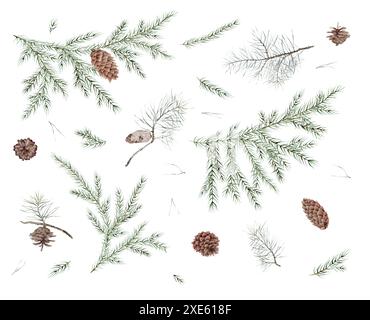 Ensemble aquarelle de sapin de Noël et branches de pin, aiguille. Illustration d'éléments de cône de pin et de sapin peint à la main sur fond isolé. Clipart Banque D'Images