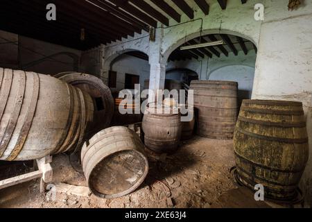 Caves originales de Palo Ripoll Banque D'Images
