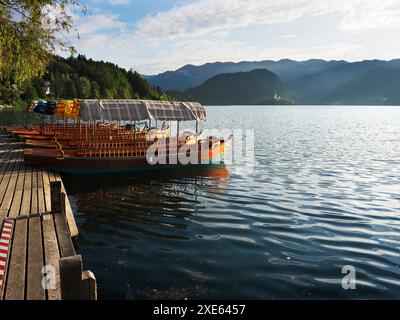 Bateaux traditionnels en bois à fond plat ou pletna amarrés sur le lac de Bled haute Carniola Slovénie Banque D'Images