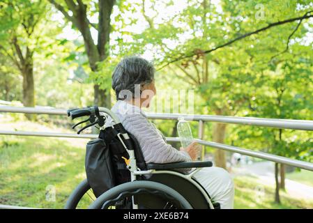 Garez une femme âgée en fauteuil roulant Banque D'Images