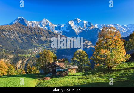 Vue de Sulwald au village de Wengen au pied de l'Eiger (3970 m), Moench (4107 m) et Jungfrau (4158 m) dans l'Oberland bernois, Suisse Banque D'Images