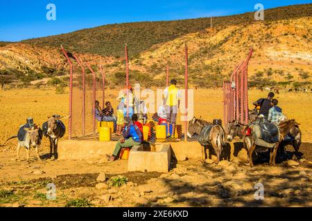 Les habitants pompent de l'eau dans un point d'eau avec des ânes le long de la route d'Asmara à Qohaito, Erythrée, Afrique Copyright : MichaelxRunkel 1184-11966 Editorial Banque D'Images