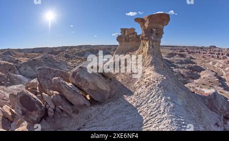 Un hoodoo de roche solitaire dans les badlands violets près de Hamilili point à l'extrémité sud du parc national Petrified Forest, Arizona, États-Unis d'Amérique Banque D'Images