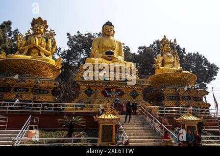 Statues de Bouddha dorées au parc du Bouddha Swayambhu, Ring Road Shakya Mahakala Temple, Katmandou, Népal, Asie Copyright : CasparxSchlageter 1372-385 Banque D'Images