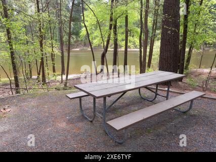 Banc de pique-nique vide dans un camping boisé surplombant l'eau du lac Jordan en Caroline du Nord. Banque D'Images