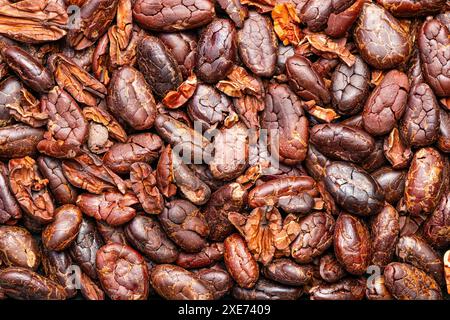 Vue de dessus, gros plan pile de graines de cacao croustillantes grillées sèches. Banque D'Images