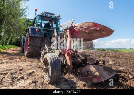 Par une journée chaude et ensoleillée, un entrepreneur agricole laboure des terres prêtes pour les semences d'herbe dans une ferme laitière avec un tracteur Fendt 716 et une charrue Kverneland 4 sillons. Banque D'Images