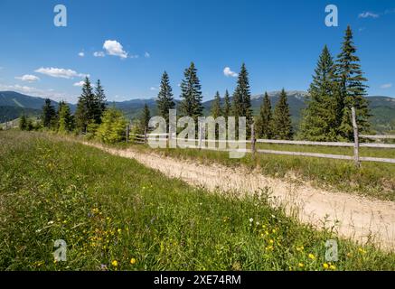 Vue du paysage des montagnes massives de Gorgany depuis la colline de Sevenei (près du col de Yablunytsia, Carpates, Ukraine.) Banque D'Images