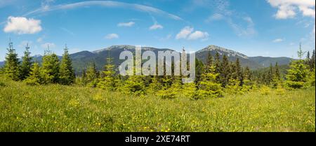 Vue du paysage des montagnes massives de Gorgany depuis la colline de Sevenei (près du col de Yablunytsia, Carpates, Ukraine.) Banque D'Images