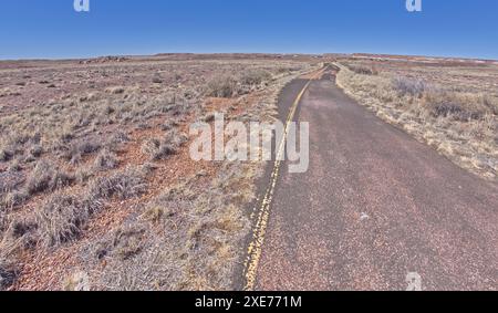 Le sentier pavé, qui était une vieille route, menant au long Logs Trail et Agate House dans le parc national Petrified Forest, Arizona, États-Unis Banque D'Images