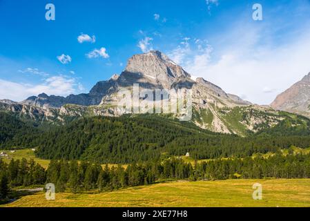 Forêts de pins verdoyantes et prairies en face de l'imposant Monte Leone, montagne accidentée, Alpes italiennes, Italie, Europe Banque D'Images