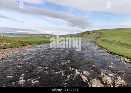 La rivière Tees et la vue en amont de Cronkley Bridge en été, Forest-in-Teesdale, North Pennines, comté de Durham, Royaume-Uni Banque D'Images