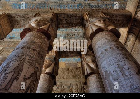 Les grandes colonnes, vestibule, Temple de Hathor, Dendera, Qena, Egypte, Afrique du Nord, Afrique Banque D'Images