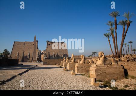 Avenue des Sphinx, premier pylône de Ramsès II, Temple de Louxor, site du patrimoine mondial de l'UNESCO, Louxor, Egypte, Afrique du Nord, Afrique Banque D'Images