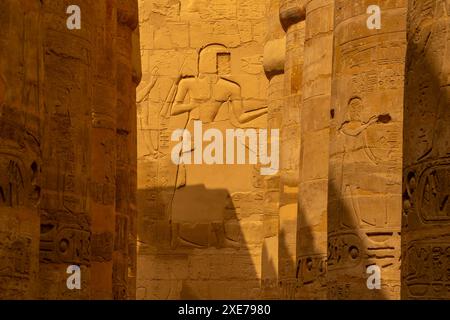 Détail des colonnes, Grande salle hypostyle, complexe du temple de Karnak, site du patrimoine mondial de l'UNESCO, près de Louxor, Thèbes, Egypte, Afrique du Nord, Afrique Banque D'Images