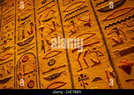 Vue des hiéroglyphes en KV8, le tombeau de Merenptah, Vallée des Rois, site du patrimoine mondial de l'UNESCO, Thèbes, Egypte, Afrique du Nord, Afrique Copyright : FRA Banque D'Images