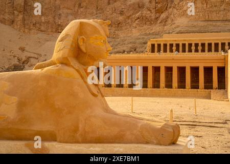 Vue du sphinx et du temple mortuaire d'Hatshepsout, site du patrimoine mondial de l'UNESCO, Deir el-Bahari, Thèbes, Egypte, Afrique du Nord, Afrique Copyright : FrankxFel Banque D'Images