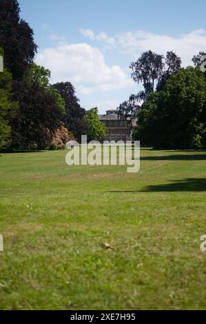 Canards dans le jardin-Strasbourg Banque D'Images