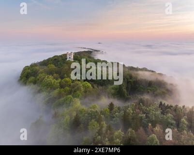 Haldon Belvedere (château de Lawrence) à l'aube par un matin brumeux, Exeter, Devon, Angleterre. Printemps (mai) 2024. Banque D'Images