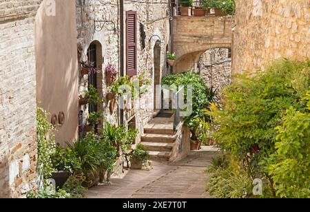 Spello - la petite allée sur la vieille ville. Banque D'Images