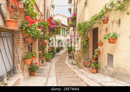 Spello - la petite allée sur la vieille ville. Banque D'Images