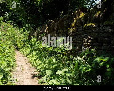 Vieux mur de pierre, Ham Hill, Somerset, Royaume-Uni Banque D'Images