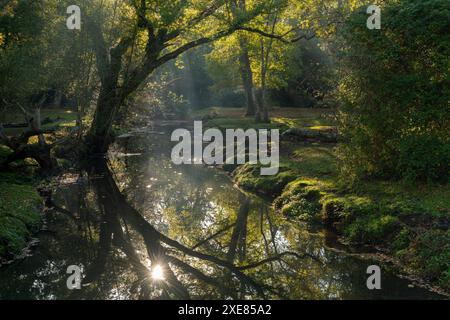 Tôt le matin, le soleil se reflète dans la rivière Beaulieu, New Forest National Park, Hampshire, Angleterre. Automne (octobre) 2018. Banque D'Images