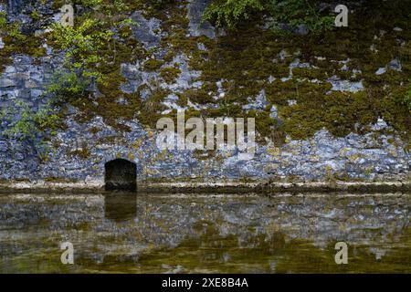 Le mur de pierre d'un ancien château en face d'un fossé avec de l'eau est recouvert de mousse. Petite fenêtre dans le mur. Banque D'Images